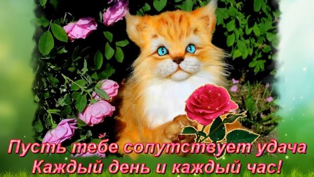 Поздравление с 8-м марта для мамы смотреть онлайн