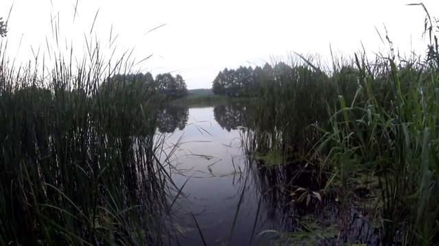 30 МИНУТ И ЛИНЬ НА ТОЧКЕ. Ловля линя. Рыбалка на линя лучшая прикормка и наживка для линя.