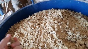 Готовим КОРМ для лактирующих и супоросных СВИНОМАТОК