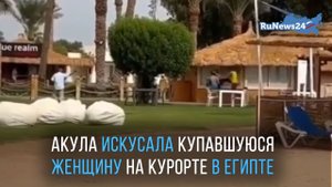 Акула искусала купавшуюся женщину на курорте в Египте