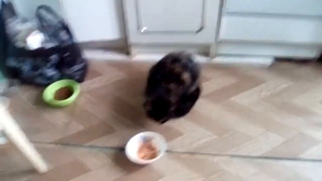 Борщь любят все!!!