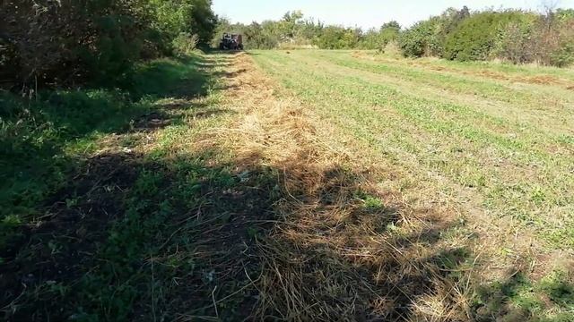 ЗАГОТОВКА СЕНА. МТЗ 80 +ПРФ 180. Сено для козы которую мне подарил Вадим. смотреть онлайн