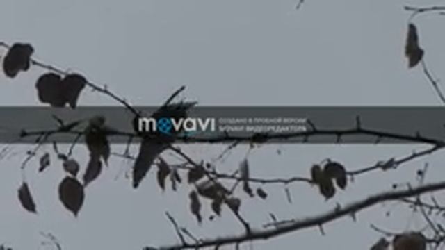 Виртуальная экскурсия Поздняя осень смотреть онлайн