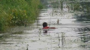 Гагаринский водолаз