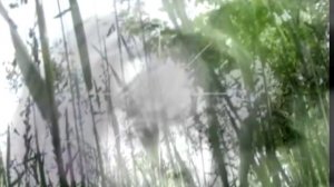 Ветер В Облаках Наталья Маркова