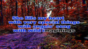 Andy Williams - Love Story (Karaoke)