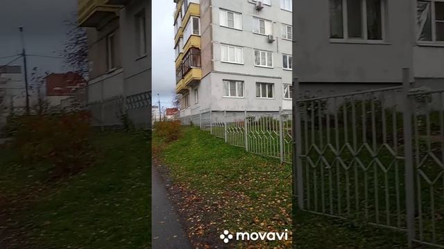 30.10.22 г. Хроника погоды