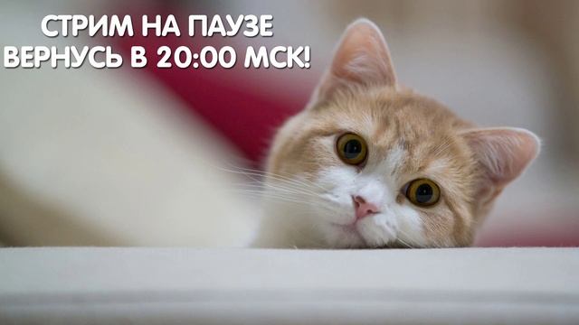 СТРИМ САМП ● ARIZONA RP ● РАЗВИВАЕМСЯ И ФАНИМСЯ смотреть онлайн