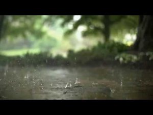 Станислав Лемешкин. Поцелуй дождя (альбом "Далекая близкая", 2011)