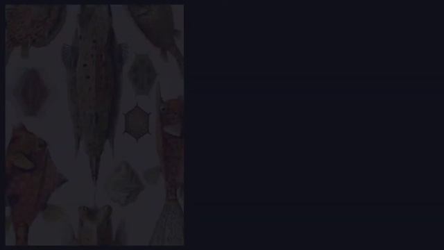 Нужно знать. Эрнст Генрих Геккель смотреть онлайн