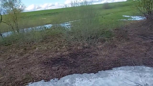 Красивые виды, заброшенные деревни, фундаменты, церкви и много кирпича. Коп 2023.