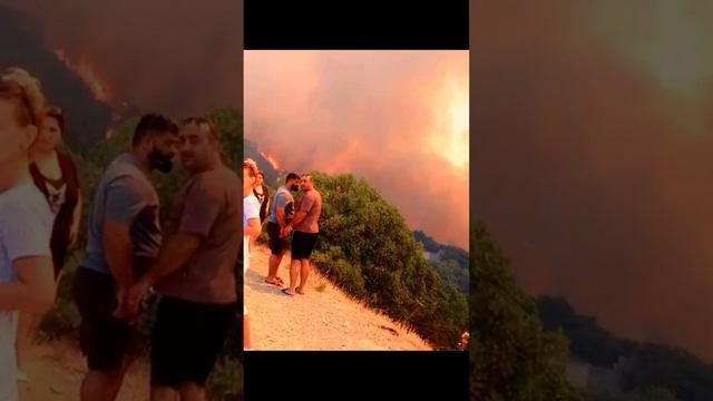 Пожар в заповеднике Большой Утриш,под Новороссийском.