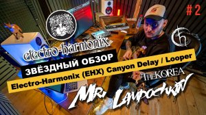 ЧТО СКРЫВАЕТ ДИЛЕЙ? | 2 ЧАСТЬ | Electro-Harmonix (EHX) Canyon Delay / Looper