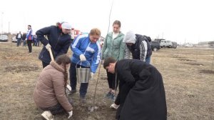 В Симферополе прошла акция по высадке деревьев