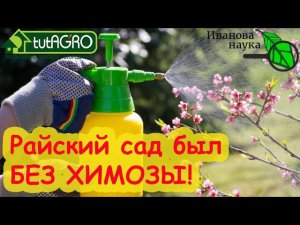 ПРОСТО ПРОЛЕЙТЕ ЭТИМ ГРЯДКИ и ВСЕ ВРЕДИТЕЛИ УЙДУТ... В МИР ИНОЙ! Полив и дождевание от вредителей.