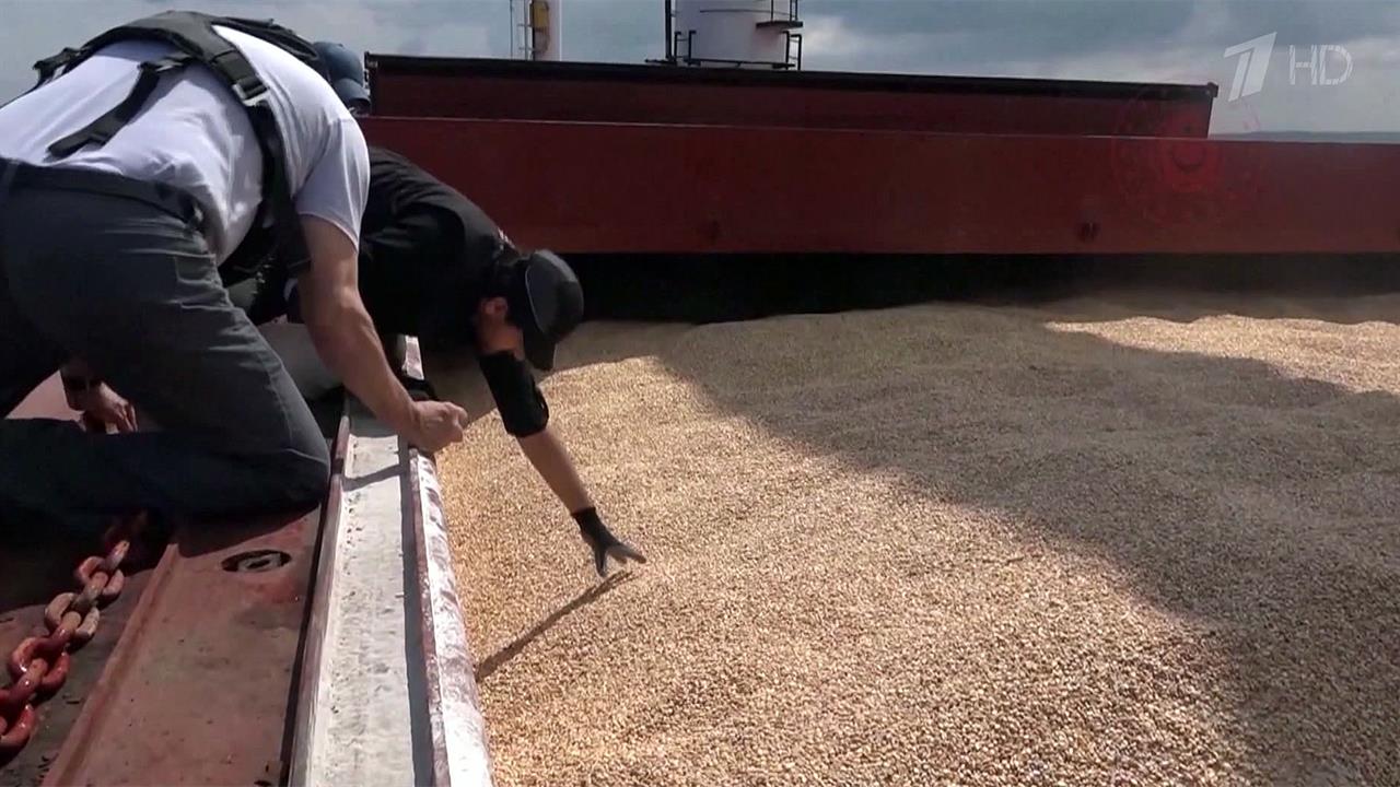 Россия, Турция, Украина и ООН договорились продлить зерновую сделку