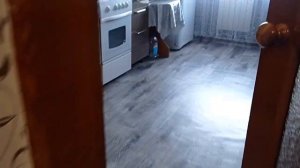 Поездка в город Лиски? Сняли квартиру? #лиски.mp4