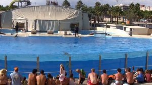 Aquopolis Costa Dorada (La Pineda, Spain)