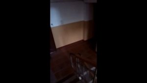 Противоугонное устройство для велосипеда