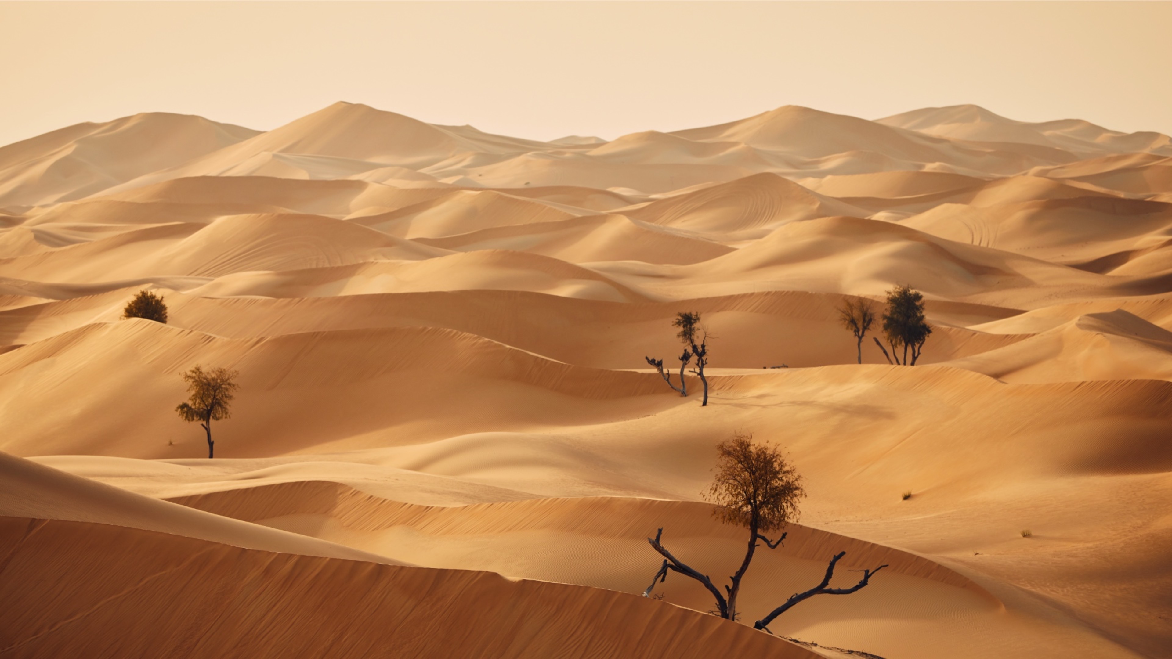 Песчаные дюны пустыни и таинственная ближневосточная музыка для медитации и снятия стресса Песчаные дюны пустыни и таинственная ближневосточная музыка для медитации и снятия стресса