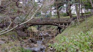 Япония Чем я занимался первые 2 года Жизнь в Японии