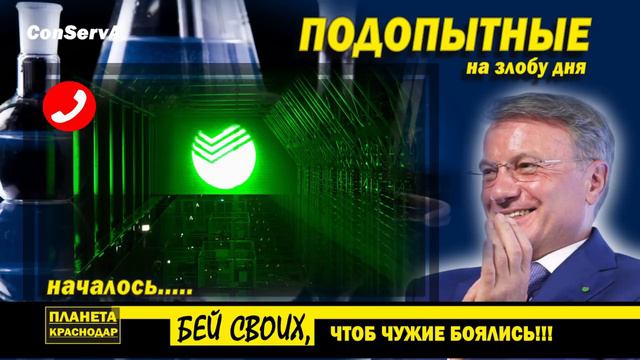 81. Греffоловка. Началось. Лабинск.