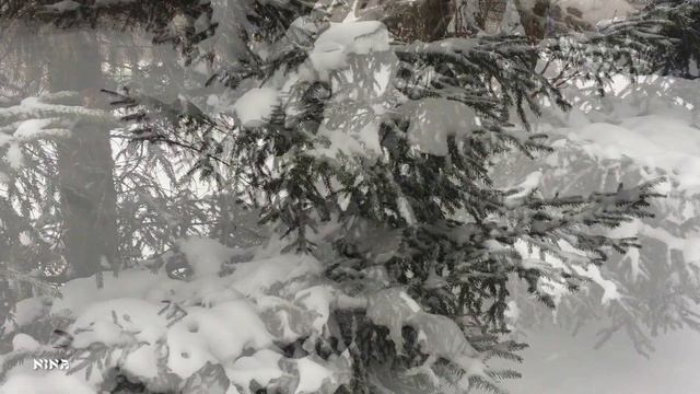 Послушайте Красивую Душевную МУЗЫКУ Прогуливаясь Февральским Днём!