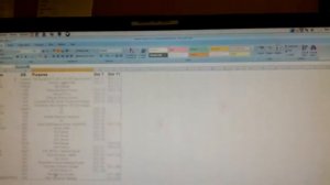 Excel running on ubuntu