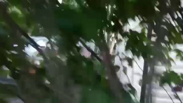 Модульное здание блок контейнер бытовка , дачный дом из блок контейнеров 4.80х6х2.60м монтаж смотреть онлайн