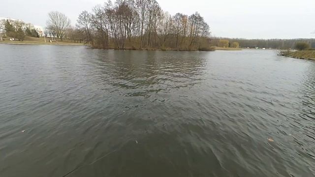 Выбор спиннинга для твичинга. 2 выпуск. Супер БЮДЖЕТ. Maximus Butcher. Спиннинг для начинающего.