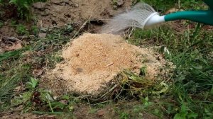 Использование опилок в огороде