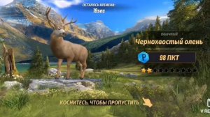 Hunting Clash: Охота на животных. Игра про охоту. Симулятр охоты. Новая мобильная игра!