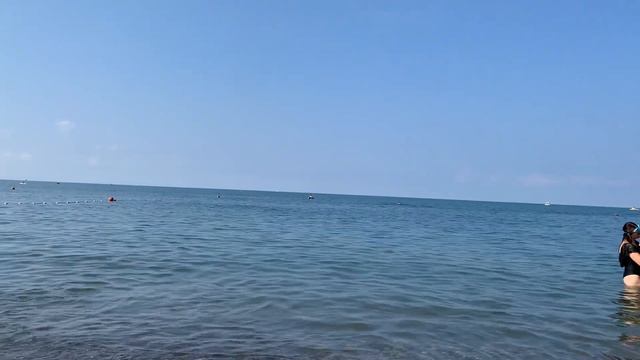 Акулы в Чёрном море / катаклизмы в Сочи пока меня не было смотреть онлайн