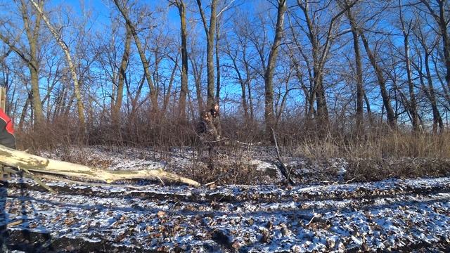 ЗАГОТОВКА ДРОВ ДЛЯ ПЕЧИ. Жизнь в деревне. смотреть онлайн