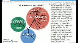 Living World, Part 2,  Class 11 as per CBSE syllabi.