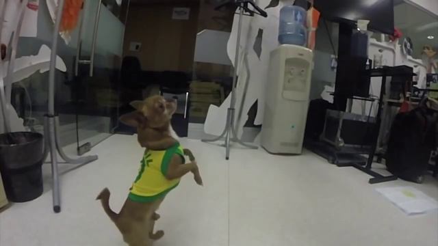 #ПятницаЕрошница в Бригаде У смотреть онлайн