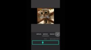 КАК БЕСПЛАТНО ИСПОЛЬЗОВАТЬ ПЛАТНЫЕ ЭФФЕКТЫ В ИНШОТ?✅ВСЁ ОЧЕНЬ ЛЕГКО✅