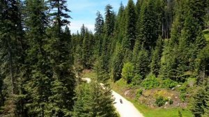 I got lost in the forests of Idaho  S6-E117