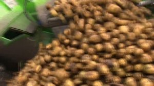 СРАВНЕНИЕ НОВЫХ КАРТОФЕЛЕУБОРОЧНЫХ КОМБАЙНОВ, Колнаг видео.mp4