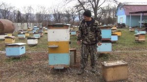 500+ Изоляция маток в медосбор. Подведение итогов.