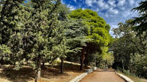 Крым - много моря и красивых моментов.