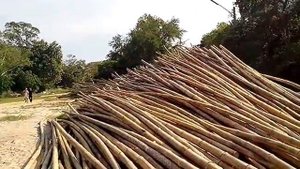 Таиланд. Паттая. Залив Кресент Мун.