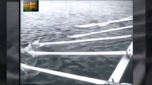 Школа Соловецких юнг 75 лет