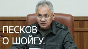 Песков о новой должности Шойгу