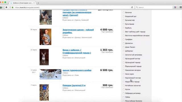 Купить в Украине? Все объявления Украины на одном сайте смотреть онлайн