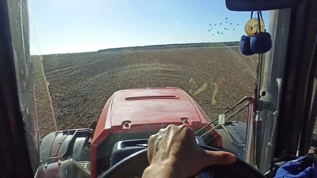 Новая работа!Теперь работаю официально! смотреть онлайн