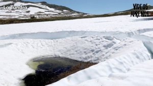 La Tundra - Videos Aprende