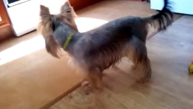 Как правильно кушать и питаться,и что я нашу. смотреть онлайн