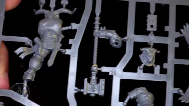 Unboxing The Blacktalons Warhammer Age of Sigmar WarhammerPlus #tabletopgaming