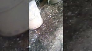 Лучегорский угольный разрез!!!
